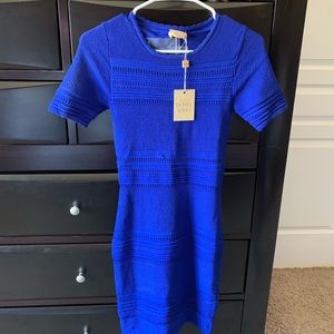 Ronny Kobo Mini Dress